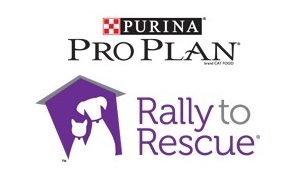 Rally to Rescue